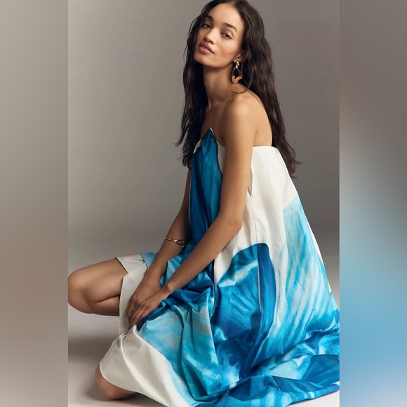 Significant Other Dresses & Skirts - Significant Other Olea Maxi Dress in blue Floral Print Size 4 NWT